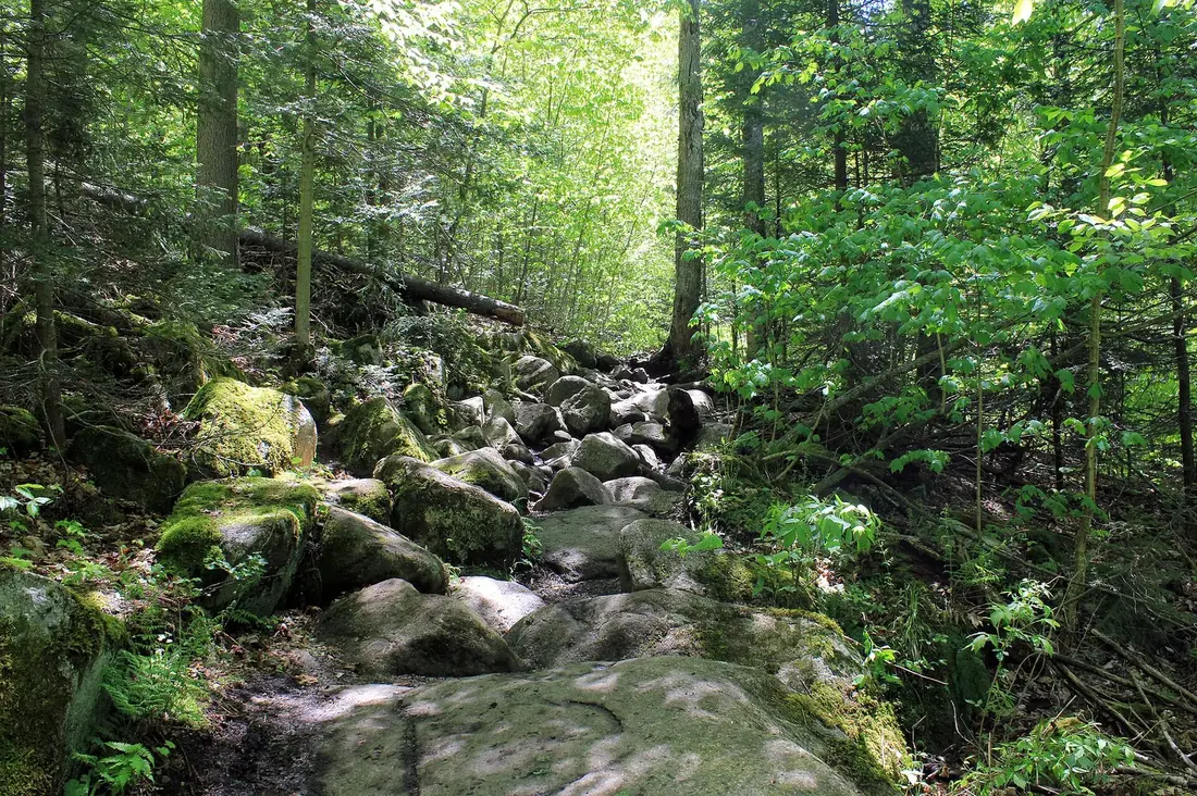 A rocky hiking trail through Adirondack forest