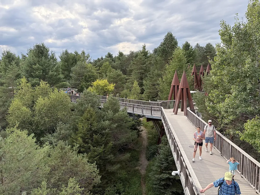 Visitors on the elevated Wild Walk at The Wild Center, Tupper Lake