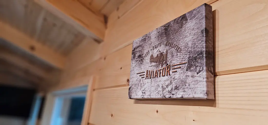 The Aviator, additional photos, photo 1