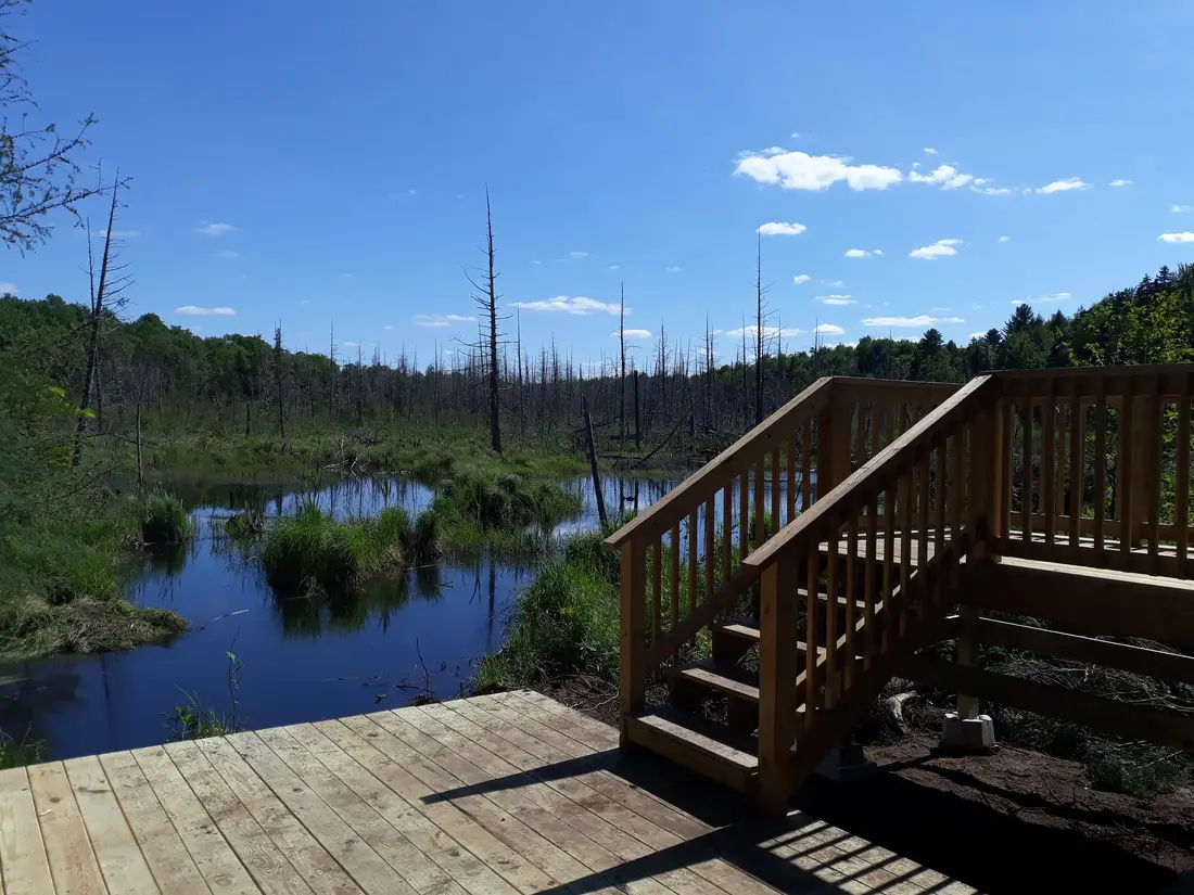 The observation deck over the pond at The Modern Tiny Home