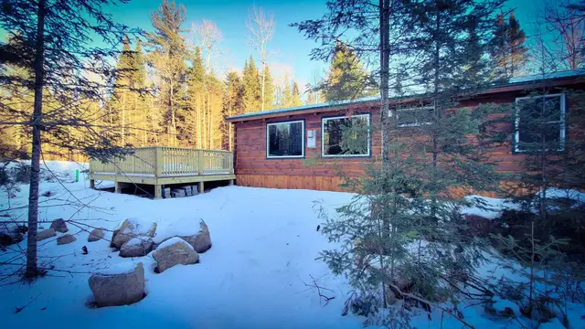 The Modern Pine, photo 31