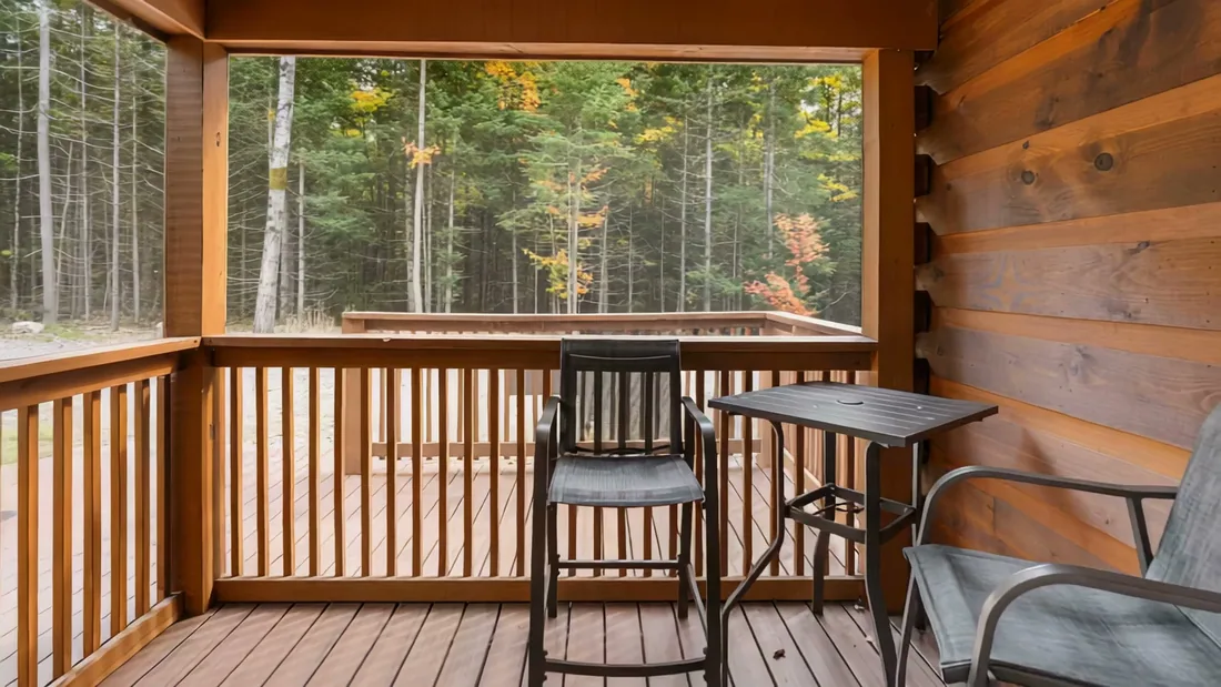 The Modern Pine's screened porch, looking into the woods