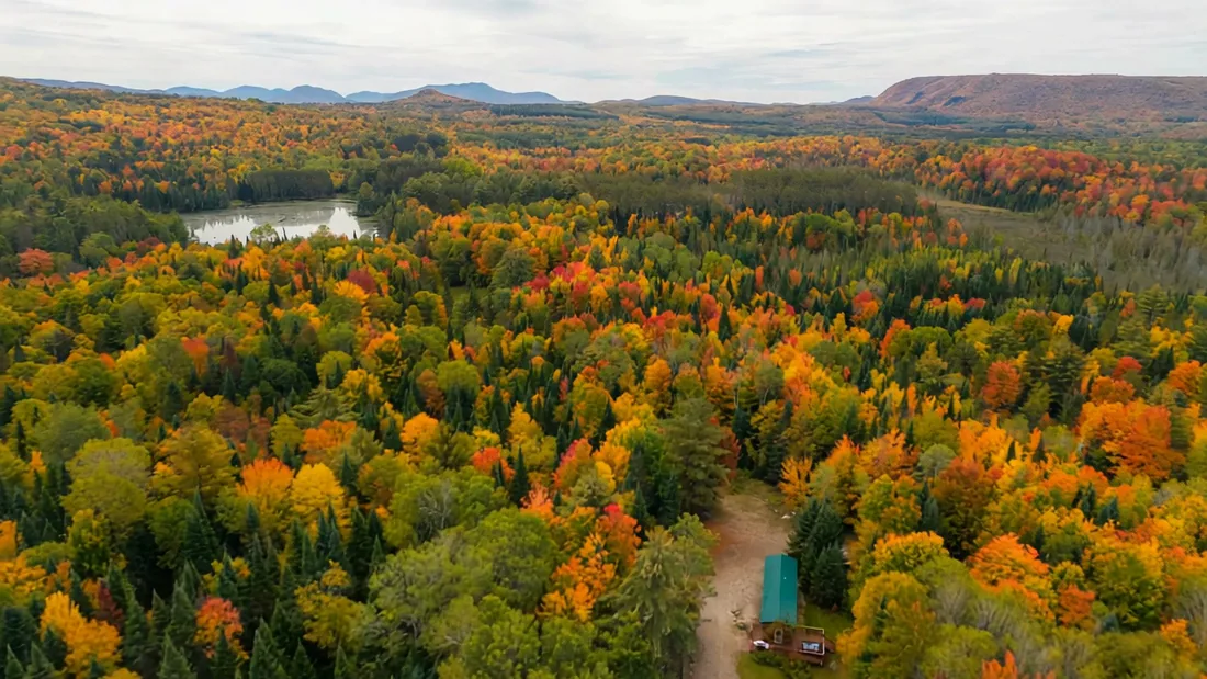 Fall color around the cabins, seen from the air